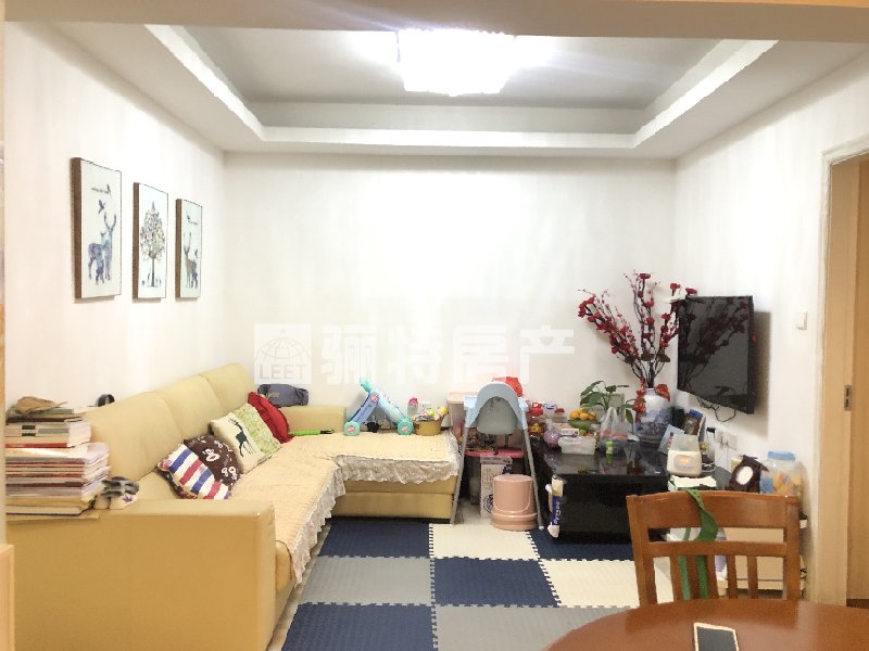 客厅