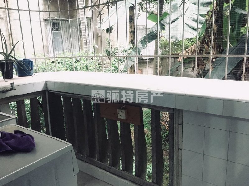 阳台