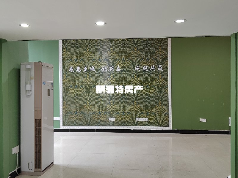 客厅