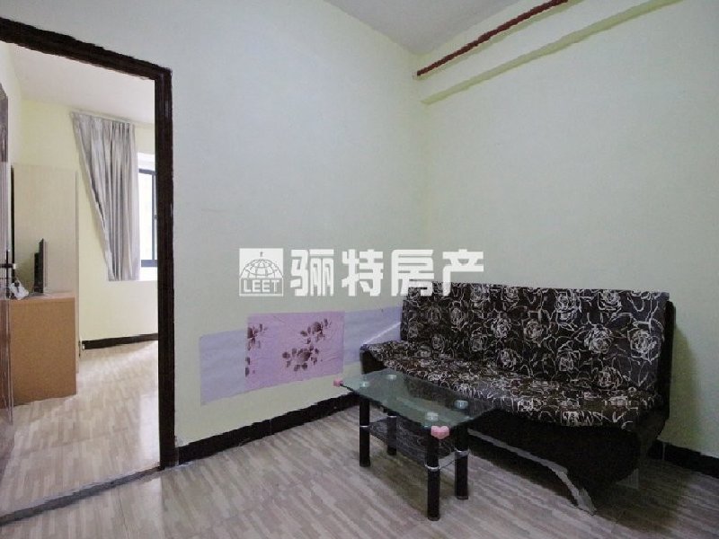 客厅
