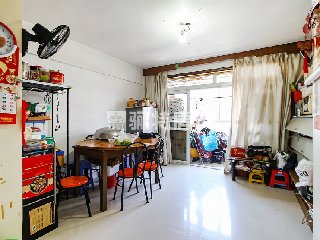 君临东城