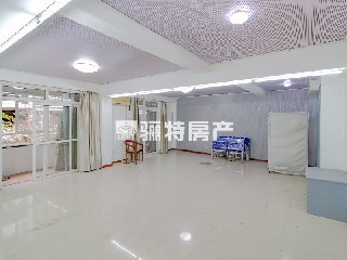 君临东城