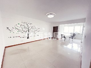君临东城
